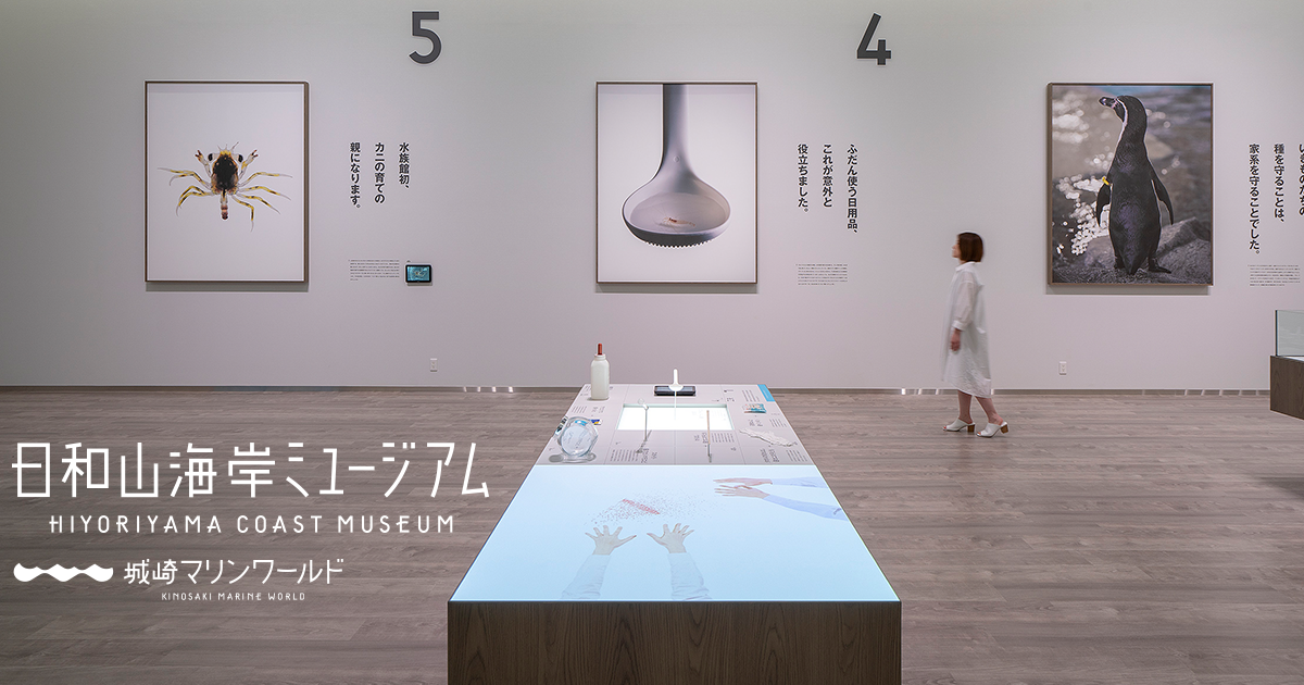 昭和レトロ　城崎　日和山海岸　海の生き物テーマの立体オブジェ　置き物　貝殻　海 昭和レトロ 城崎 日和山海岸 海の生き物テーマの立体オブジェ