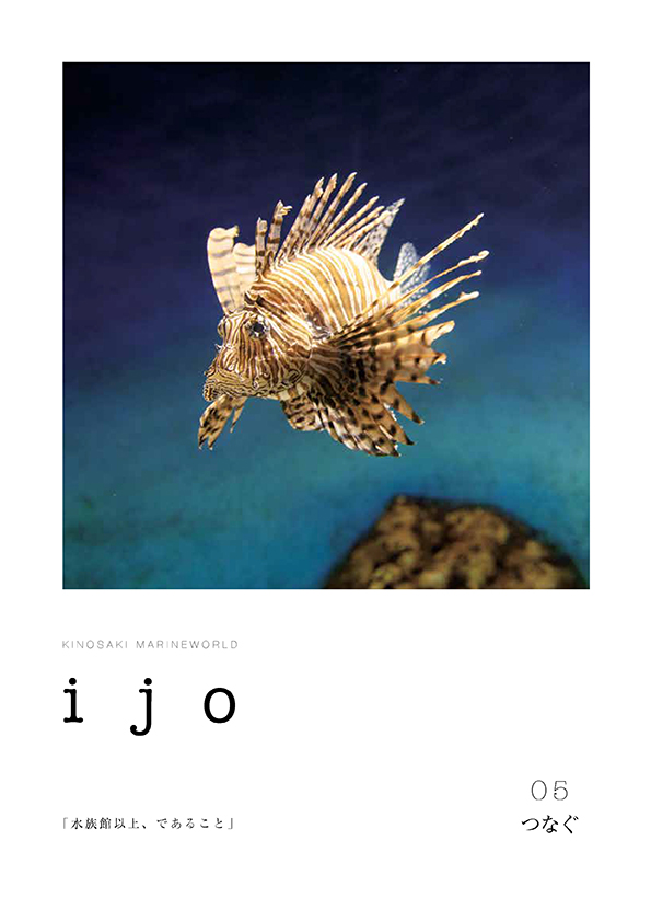 ijo 5号