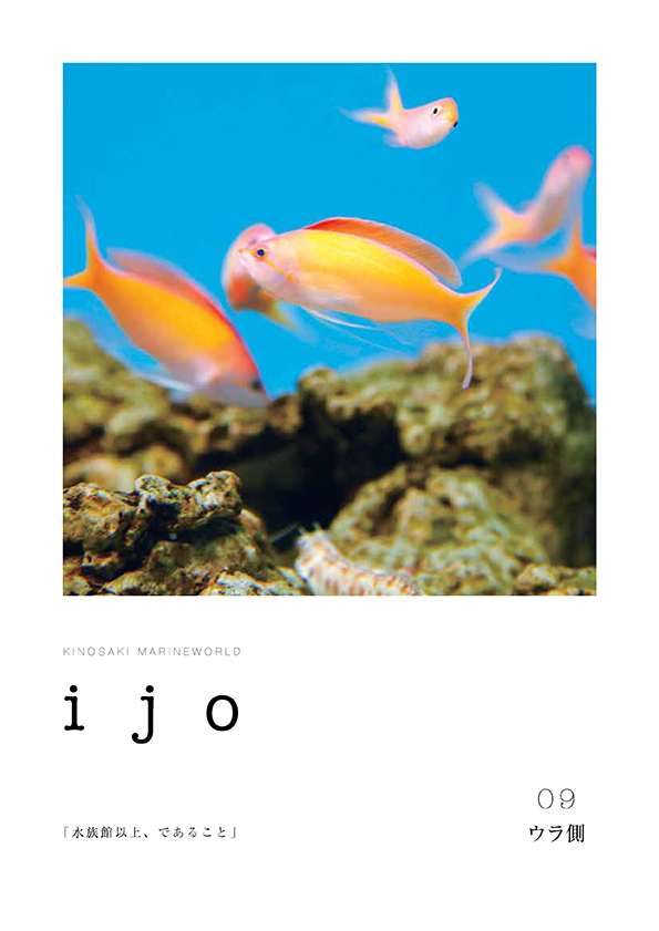 ijo 9号