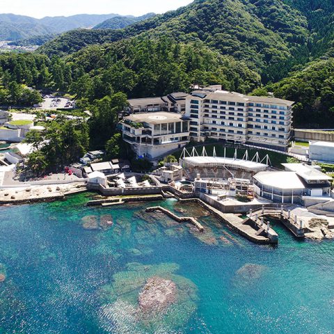 営業時間・料金｜城崎マリンワールド 水族館以上、であること。