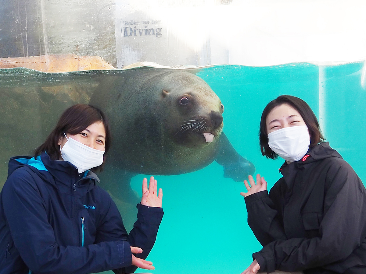 トドに初詣ツアー 城崎マリンワールド 水族館以上 であること