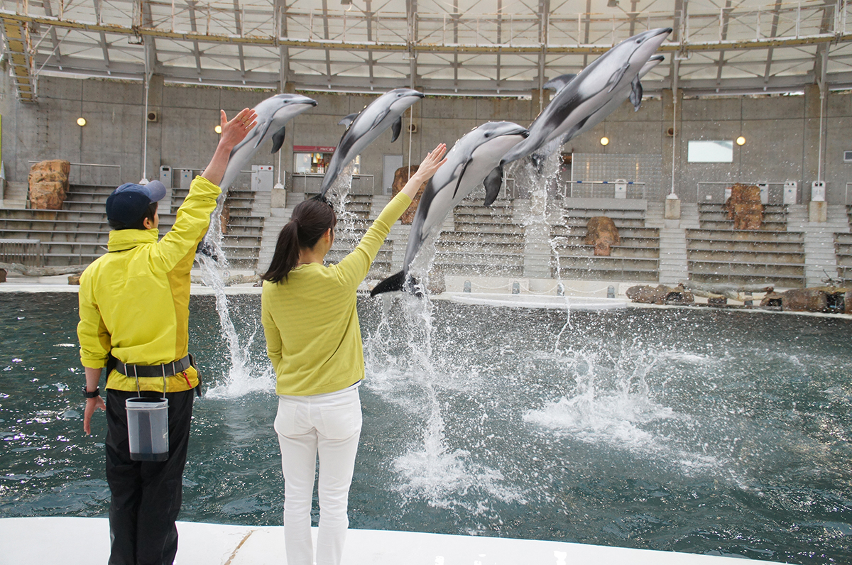 ドルフィントレーナー・オンステージ