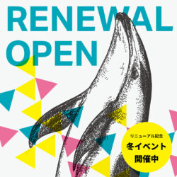 重要なお知らせ