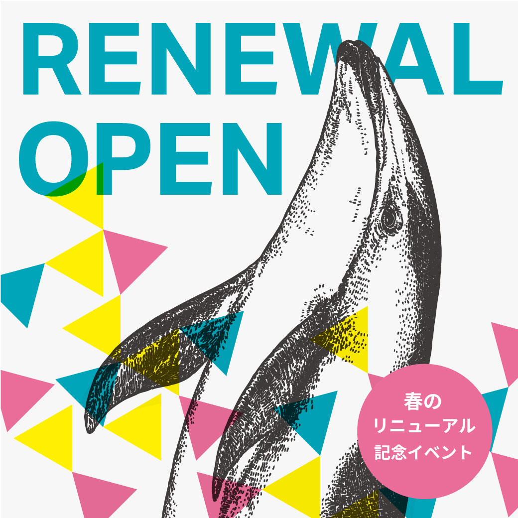 リニューアルOPEN