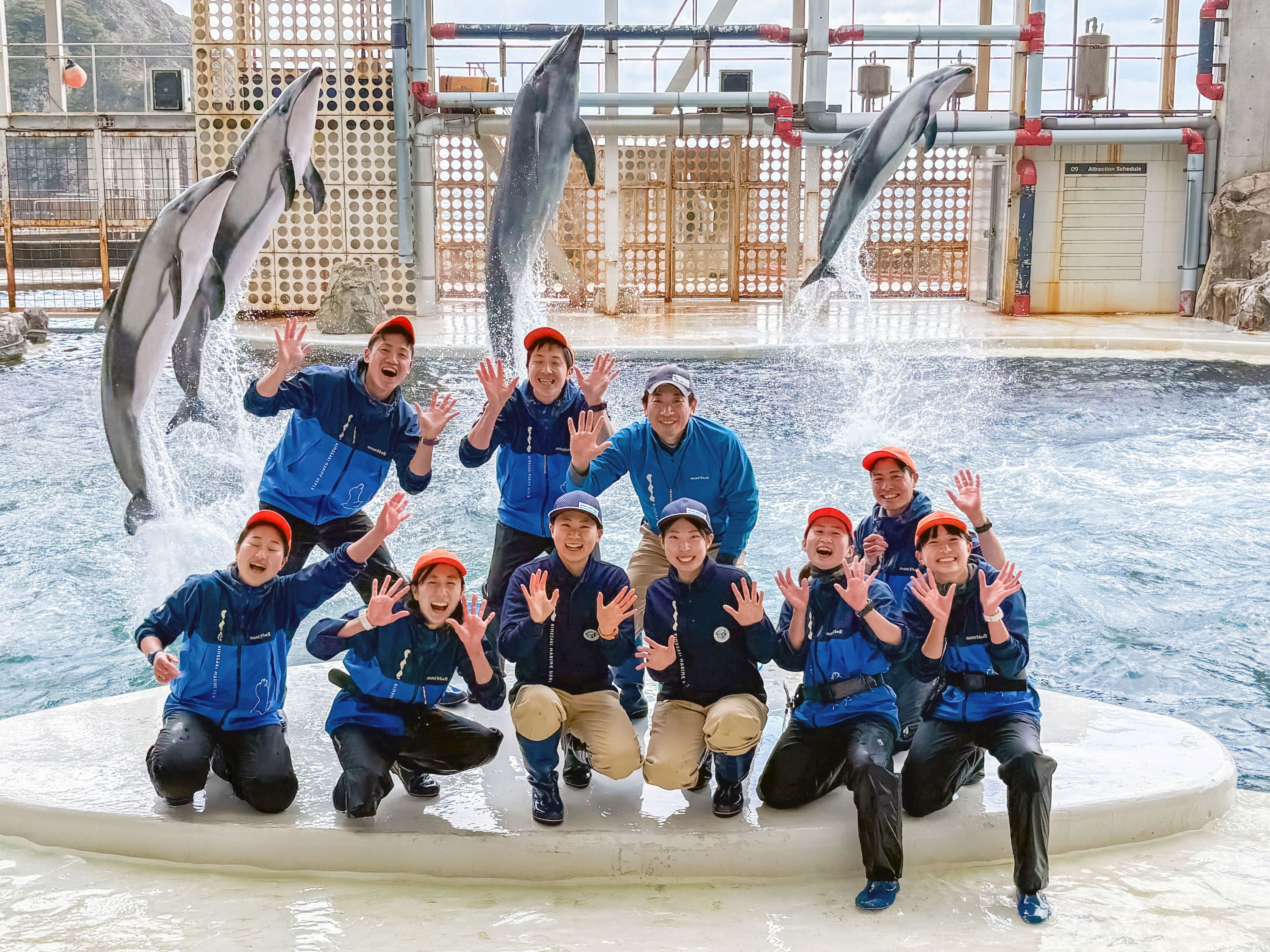 イルカのアフタートーク